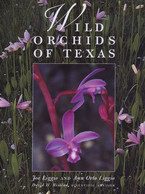 cover image of Wild Orchids of Texas